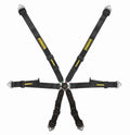 Profi II 6-Point Racing Harness