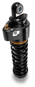 Progressive shock absorber detail