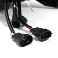 AlphaRex headlights close-up