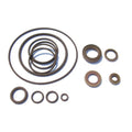 Double Vanos Seals Repair Kit for S50B32