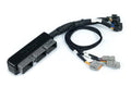 Haltech NEXUS S3 Plug n Play Adapter Harness