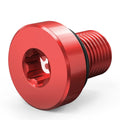 Brass Coolant Bleeder Screw
