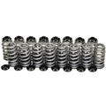 Valve Spring Set for 4G63