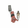 Express Maximizer 4 Progressive Controller