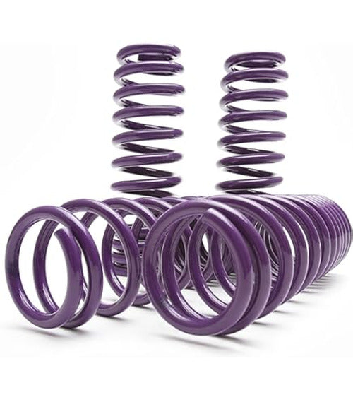 Traction-S Performance Lowering Springs
