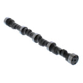 Hydraulic Flat Tappet 4/7 Swap Camshaft