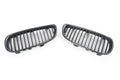 Prestige Carbon Front Grille Set