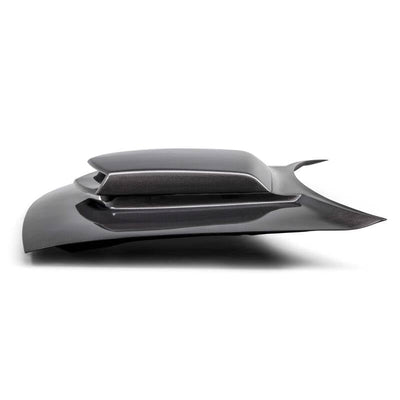 Type-HM Carbon Fiber Hood
