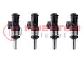 EV14KT Fuel Injector