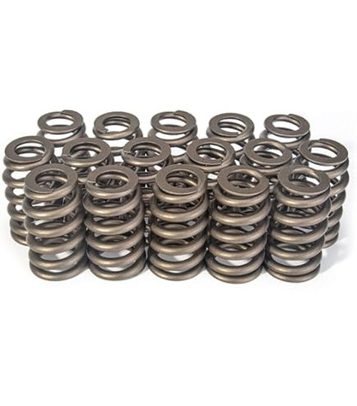 Dual Valve Spring Set