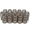 Dual Valve Spring Set