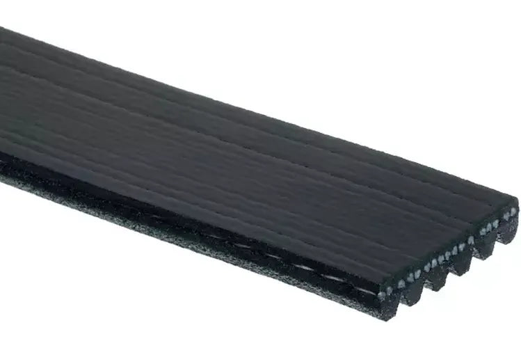(S)BELT