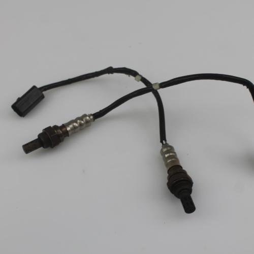 F-(S)SENSOR