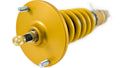 Ohlins Road and Track Coilovers Nissan Skyline GT-R (BNR34) 1999-2002