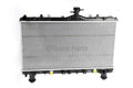 (S)RADIATOR