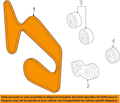 (S)BELT