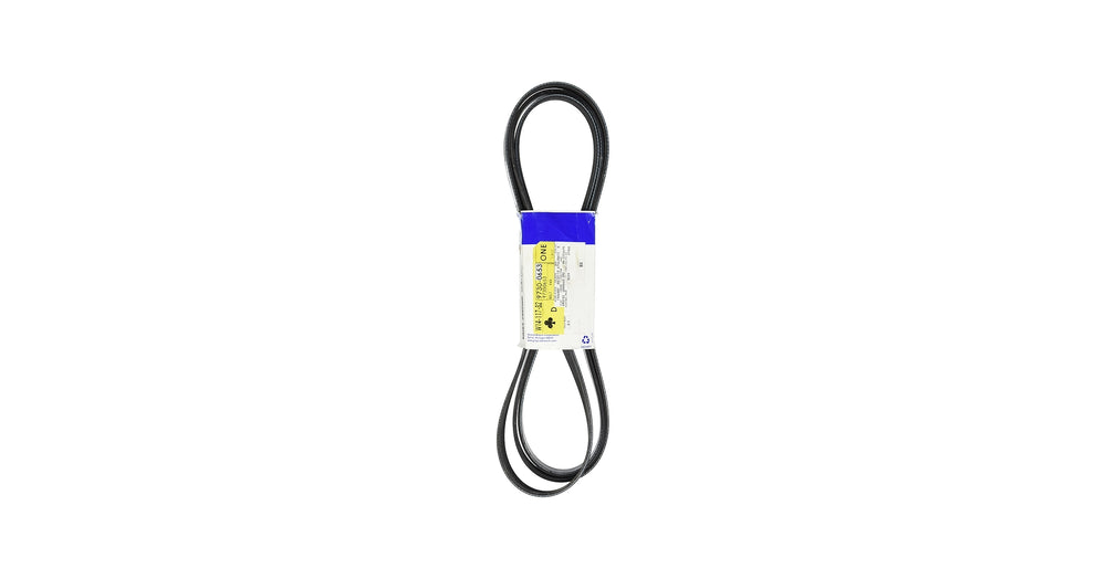 (S)BELT