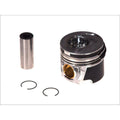 PISTON WITH RINGS