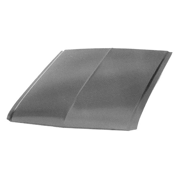 HOOD PANEL