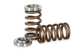 Kelford TOYOTA 1GR-FE HIGH PERFORMANCE VALVE SPRING SET