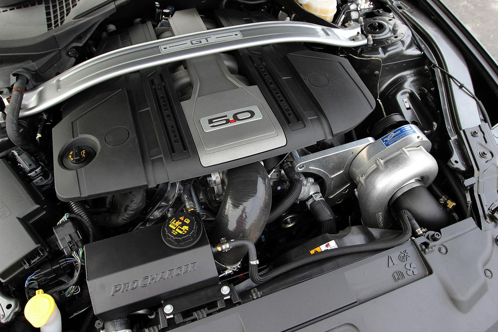 18-19 Mustang GT ProCharger HO Supercharger System