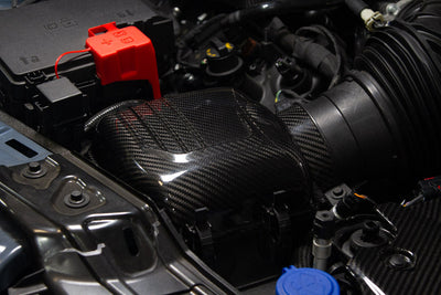 Carbon Fiber Intake Covers/pair