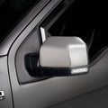 Putco Door Mirror Cover 400522