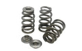 2JZ-GTE Extreme Beehive Springs and Titanium Retainers