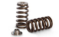 2JZ-GTE Extreme Beehive Springs and Titanium Retainers