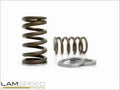 2JZ-GTE Extreme Beehive Springs and Titanium Retainers