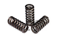 ~(3 lbs. 12X6X3)~ 6.7l SCORPION Valve Springs