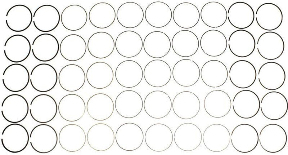 Engine Piston Ring Set 42229.030