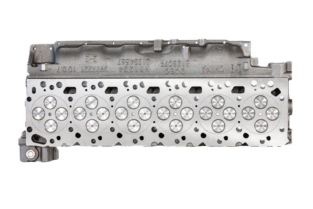 98.5-02 24 Valve head Loaded OEM with Oringed