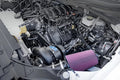 2021-23 5.0l F-150 High Output Intercooled System with P-1SC-1