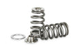 Kelford KELFORD PACALOY RACE SPRING (SR16/20VE)