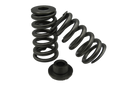~(3 lbs. 12X6X3)~ HD 7.3 Valve Spring AND Retainer