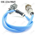 O2 OXYGEN SENSOR