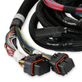 Main Harness 99-04 Ford Modular Engine