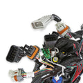 Main Harness 99-04 Ford Modular Engine