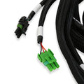 Engine Main Harness Ford 5.0L/5.8L