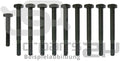 HEAD BOLT SET