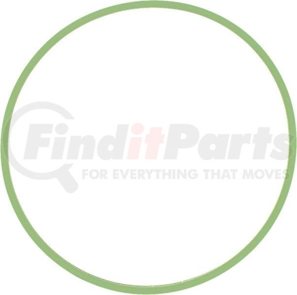 FUEL INJECTION PLENUM GASKET