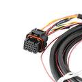 DBW HARNESS, FORD COYOTE
