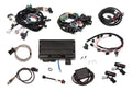 TERM X MPFI,FORD MOD 4V,STOCK COILS,EV1