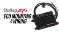 TERM X MPFI,FORD MOD 4V,STOCK COILS,EV1