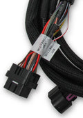 SUB HARNESS, FORD COYOTE TI-VCT