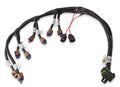 COIL HARNESS, FORD COYOTE (2015.5+)