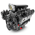 GM LS COMPATIBLE 376 C.I. PRO SERIE