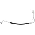 HOSE ASSEMBLY
