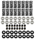 Platinum LS Dual Springs .660in Lift